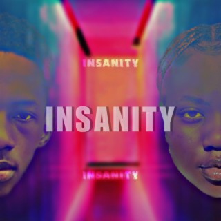 Insanity ft. Zheedestine lyrics | Boomplay Music