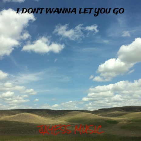 I Don't Wanna Let You Go | Boomplay Music