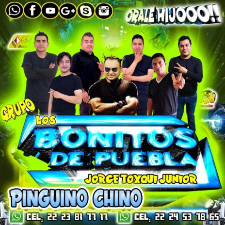 Pinguino Chino | Boomplay Music