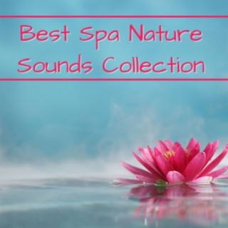 Best Spa Nature Sounds Collection: Waterfalls, Butterfly, Frogs and Zen Music