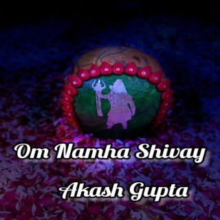 Om Namha Shivaya