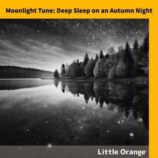 Moonlight Tune: Deep Sleep on an Autumn Night