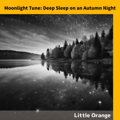 Autumn Leaves Glow | Boomplay Music
