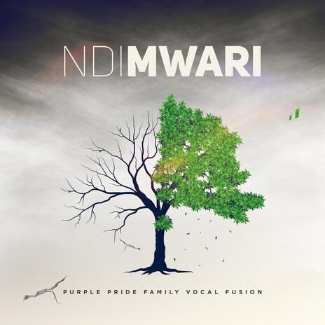 NdiMwari | Boomplay Music