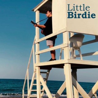 Little Birdie lyrics | Boomplay Music