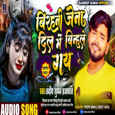 Birhani Jena Dil Me Binhale Gay (Maithili) | Boomplay Music