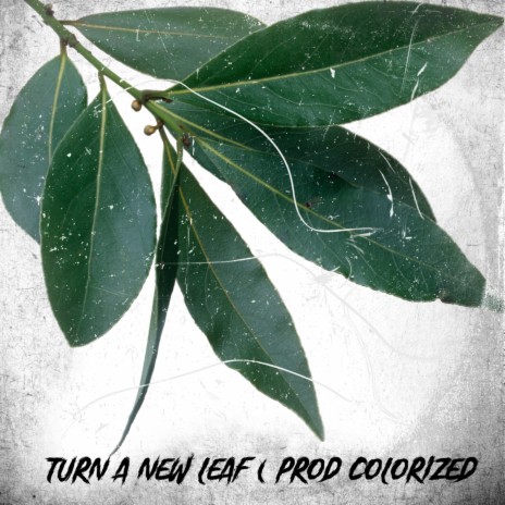 Turn a new leaf | Boomplay Music