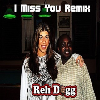 I Miss You (Remix)