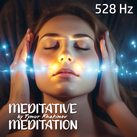 Meditative Meditation