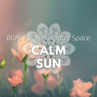 BGM For Relaxation Space