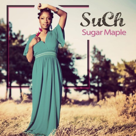 Sugar Maple | Boomplay Music