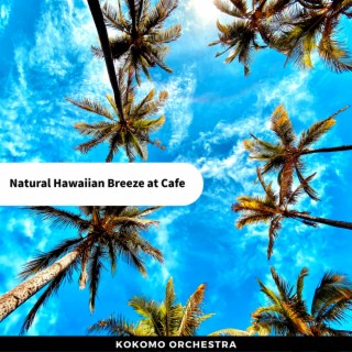 Natural Hawaiian Breeze at Cafe