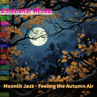 Moonlit Jazz - Feeling the Autumn Air