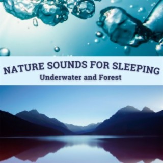 Nature Sounds for Sleeping: Underwater and Forest