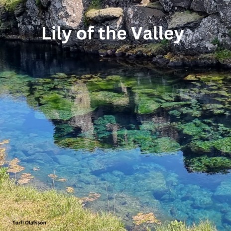 Lily of the Valley | Boomplay Music