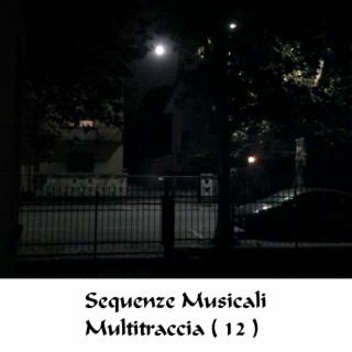 Sequenze Musicali Multitraccia (12)