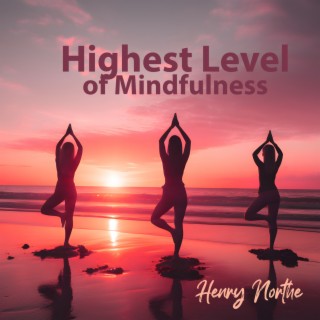 Highest Level of Mindfulness