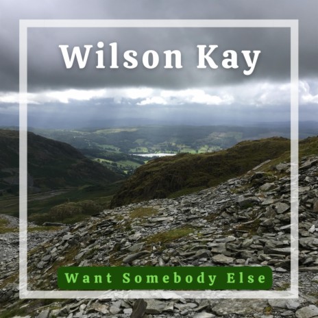 Want Somebody Else | Boomplay Music