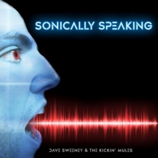 Sonically Speaking