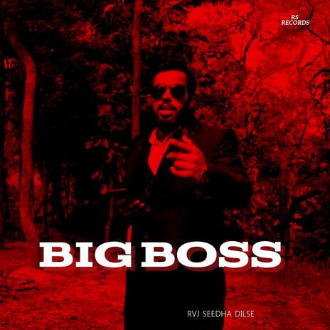 BIG BOSS (HIP HOP BEAT) (SEEDHA DILSE) | Boomplay Music