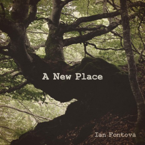 A New Place | Boomplay Music