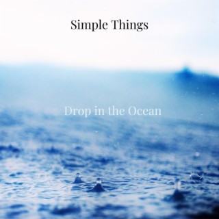 Drop in the Ocean