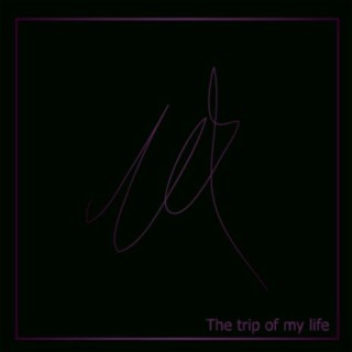 The trip of your Life lyrics | Boomplay Music