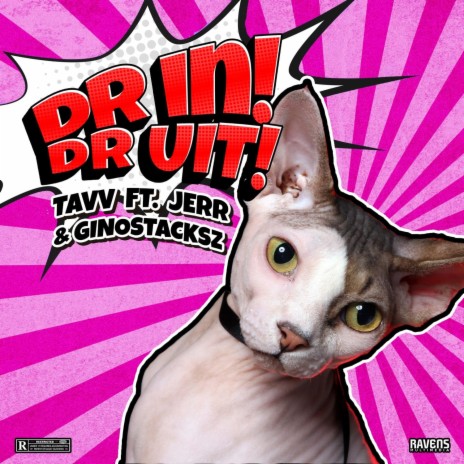 Dr In Dr Uit ft. Tavv & Gino Stacksz | Boomplay Music