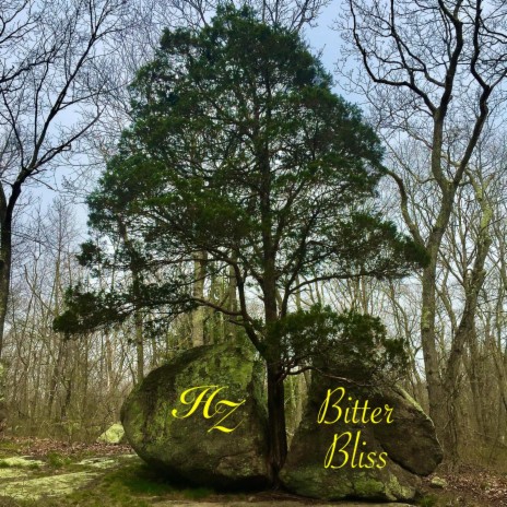 Bitter Bliss (Rough Cut) | Boomplay Music