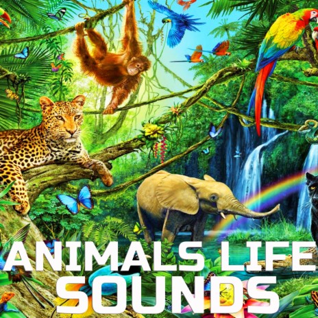 Animals Life Ambience ft. Animal Planet FX, Animal Planet Soundscapes, Nature Sounded, Animals Nature Sounds & Animals Sound Effects