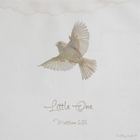 Little One, Matthew 6:26