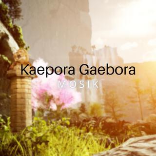 Kaepora Gaebora