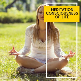 Meditation Consciousness of Life
