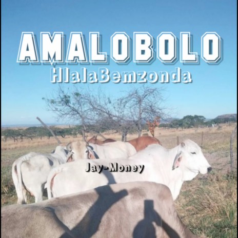 Amalobolo ft. HlalaBemzonda | Boomplay Music