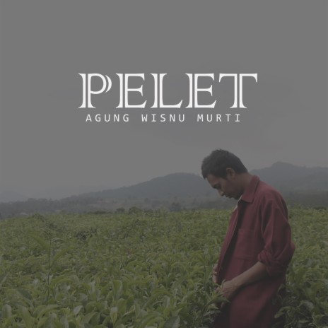 Pelet | Boomplay Music