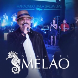Maracaibo Baila Salsa (Live)