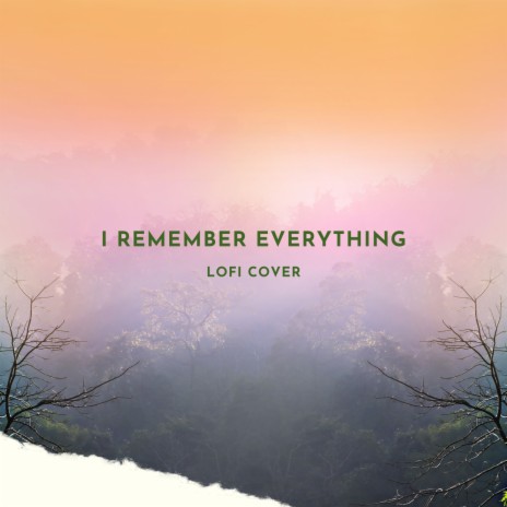 I Remember Everything (Lofi Cover) (I Wish I Didnt But I Do Remember Every Moment On The Nights With You) ft. DJ Rehan | Boomplay Music