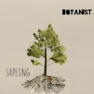 N. sativa (The Bard & The Botanist)