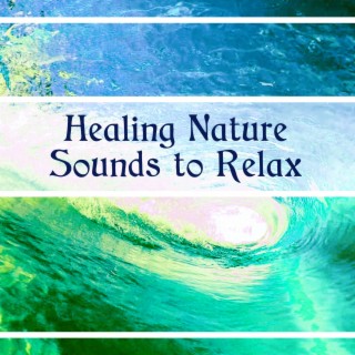 Healing Nature Sounds to Relax – Music Therapy to Cure Insomnia, Relaxing Rain Ambience & Thunderstorm
