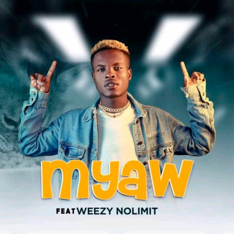 Raboday Myaw ft. Weezy no limit | Boomplay Music
