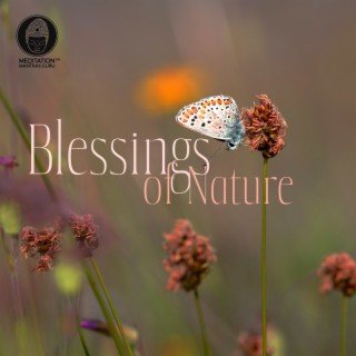 Blessings of Nature: Relaxing Music with Sounds of Rain, Wind and River for Mediatation & Yoga, Relaxation, Spa and Well -Being