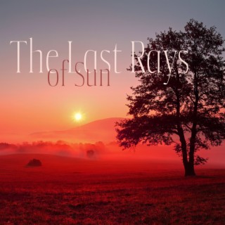 The Last Rays of Sun: Nature Sounds for Deep Relax and Calm Mind, Emotional Healing, Inner Happiness