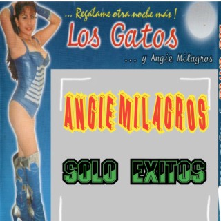 LOS GATOS - AÑO 2000
