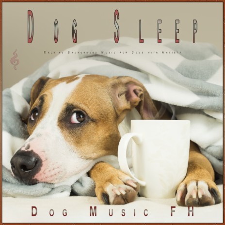 Dog music experience calming music for dogs online