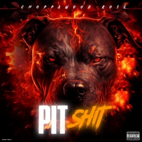 Pit Shit | Boomplay Music