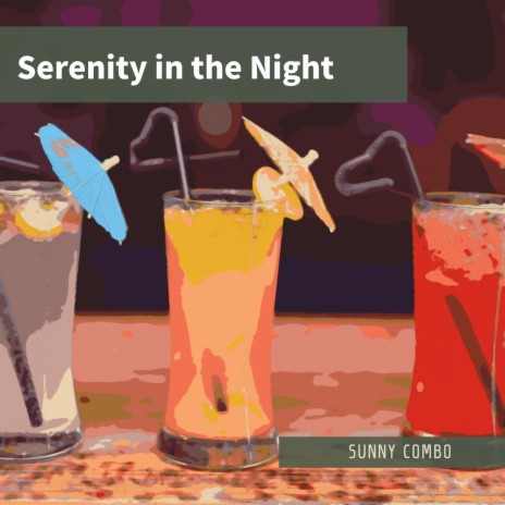 Nights in the Bar | Boomplay Music