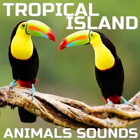 Soothing Tropical Island Animals Sounds ft. Animals Nature Sounds, Animal Planet FX, Animal Planet Ambience, Animal Planet Soundscapes & Animals Life Sounds