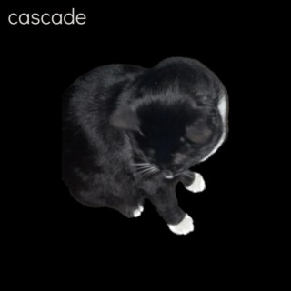 Cascade (Black Album)