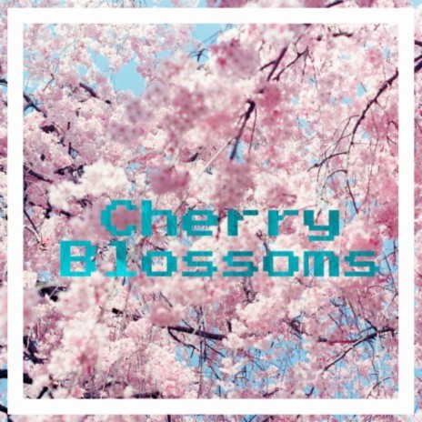 Cherry Blossoms | Boomplay Music