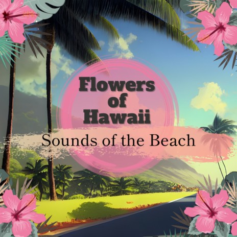 When I'm in Hawaii | Boomplay Music